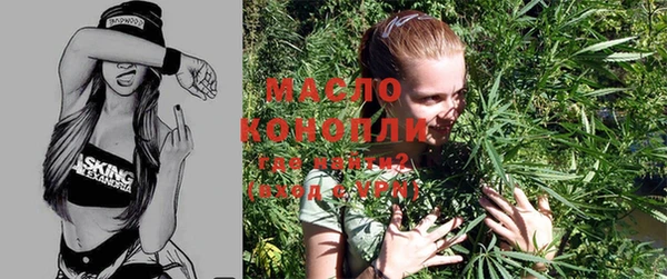 Альфа ПВП Няндома