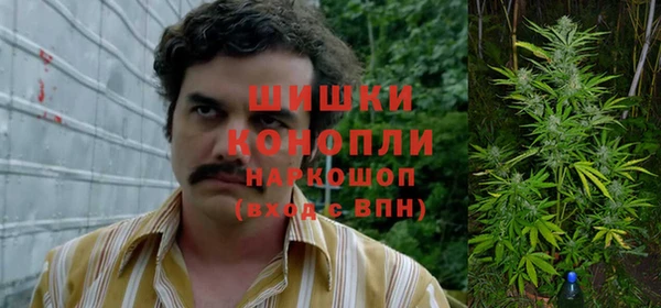 крисы Нягань