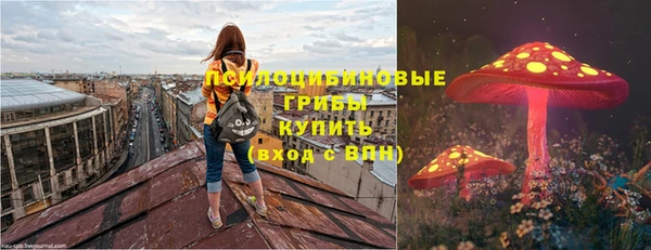 Альфа ПВП Няндома