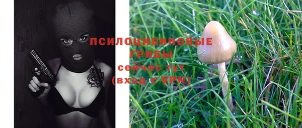 крисы Нягань