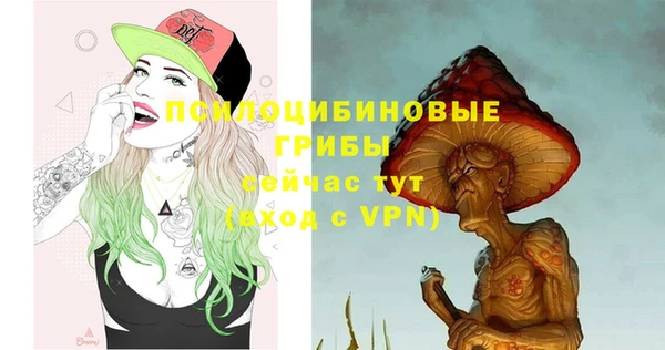 Альфа ПВП Няндома