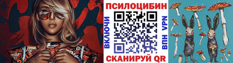 Галлюциногенные грибы GOLDEN TEACHER  Купить где  Шиханы